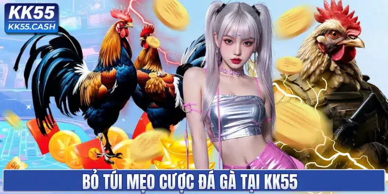 ĐÁ GÀ KK55 ✔️ Trực Tiếp Thomo Mỗi Ngày | Tỷ Lệ Cược Cao