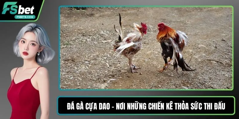 Tạo Dàn Đề - Cách Lọc Số Dễ Theo Dõi Qua Từng Ngày