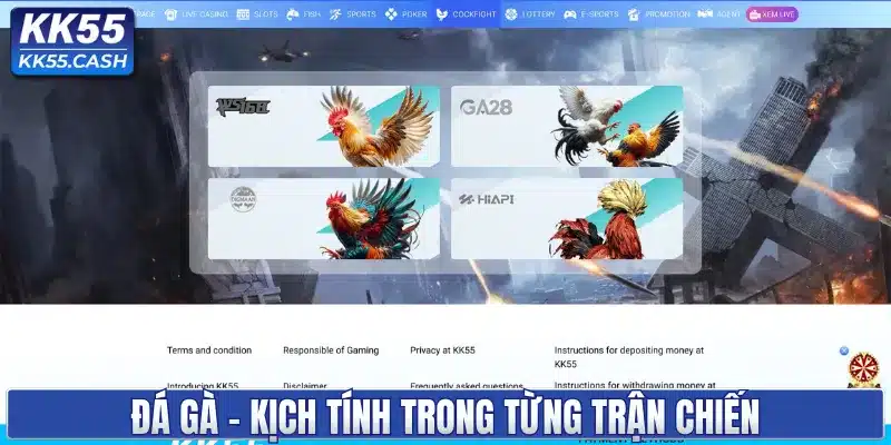 Giới thiệu KK55 ✔️ Hệ sinh thái giải trí minh bạch 2026
