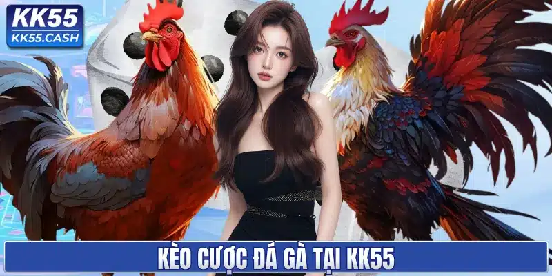 ĐÁ GÀ KK55 ✔️ Trực Tiếp Thomo Mỗi Ngày | Tỷ Lệ Cược Cao