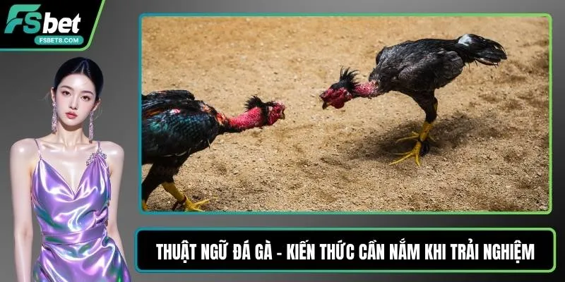 Cá Cược Rainbow Six - Cẩm Nang Đọc Kèo Dành Cho Bạn