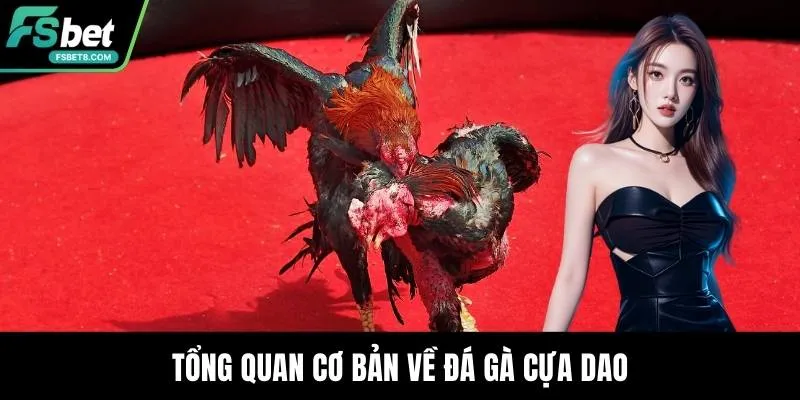 Đá Gà Cựa Dao - Nơi Những Chiến Kê Thỏa Sức Thi Đấu