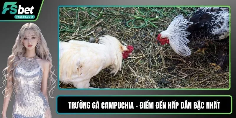 Nổ Hũ JDB - Jackpot Siêu Khủng Chờ Người Chơi Săn Tìm