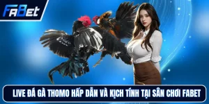 Đá Gà FABET - Trải Nghiệm Sảnh Đấu Trực Tiếp Hấp Dẫn