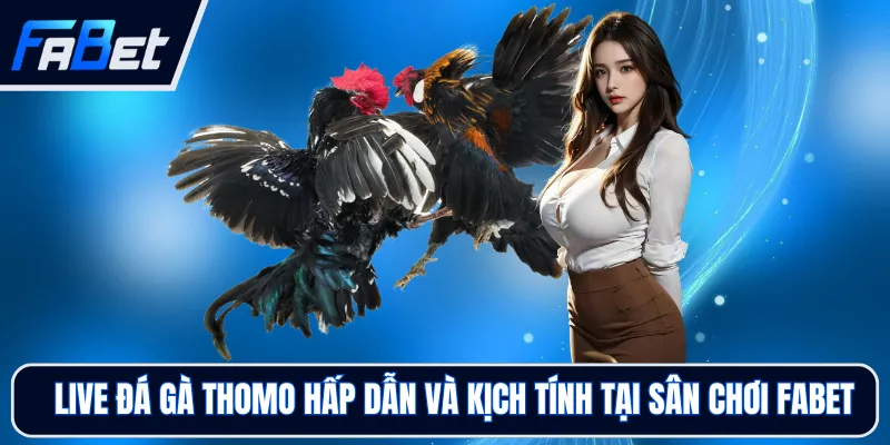 Live Đá Gà Thomo Hấp Dẫn Và Kịch Tính Tại Sân Chơi FABET