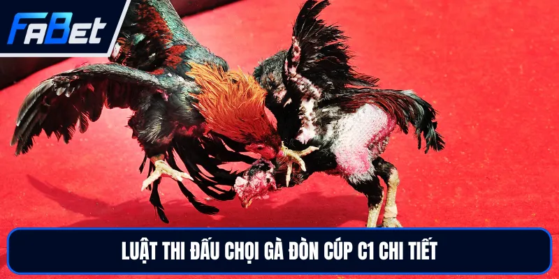 Trực Tiếp Đá Gà Đòn C1 FABET - Theo Dõi Đối Kháng Đỉnh Cao