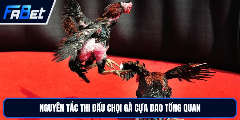 Trực Tiếp Đá Gà Cựa Dao Uy Tín Tại FABET Đẳng Cấp Top Đầu
