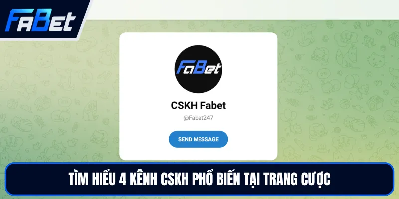 Liên Hệ FABET | Hỗ Trợ Chuyên Nghiệp, Phản Hồi Nhanh Chóng