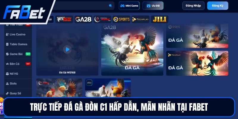 Trực Tiếp Đá Gà Đòn C1 FABET - Theo Dõi Đối Kháng Đỉnh Cao