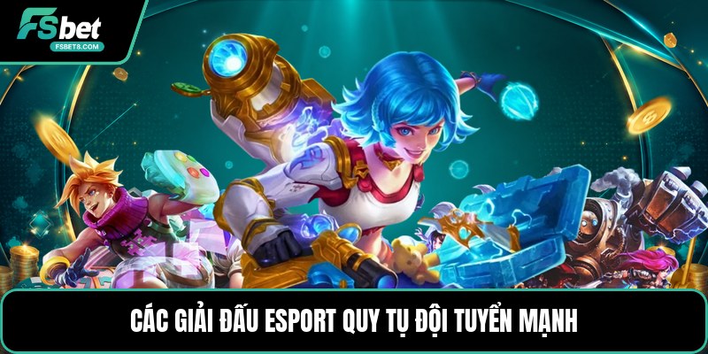 Các Giải Đấu Esport - Lịch Thi Đấu Và Cách Theo Dõi